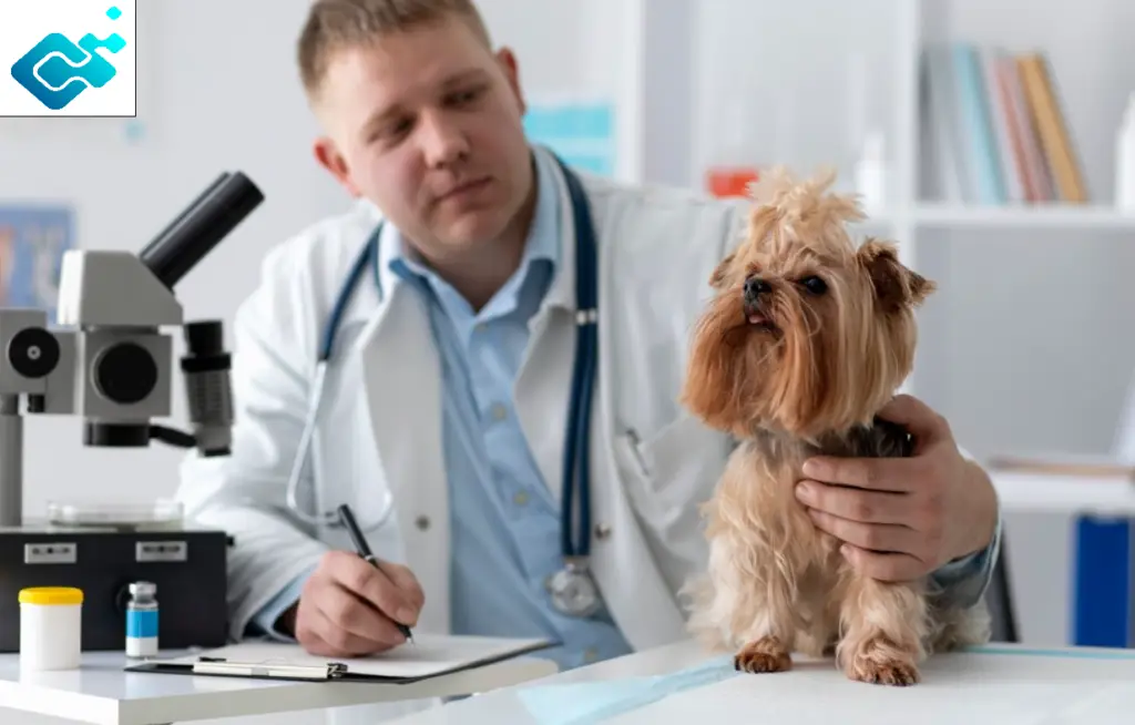 clinical trials solutions for animal health